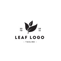 Mint leaves flat vector logo template. EPS10
