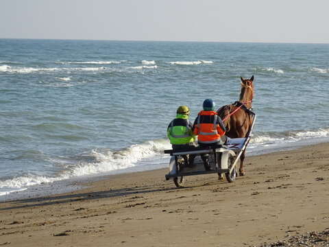 couple on the beach in a horse buggy in normandy france