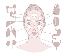 Markers of reflexology zones. Projection of the internal organs on the face of a woman. Isolated on white background - 517848909