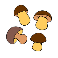 Set of vectors mushrooms in doodle flat style. Hand drawn color illustrations, clipart, design elements isolated. Theme of nature, forest, thanksgiving