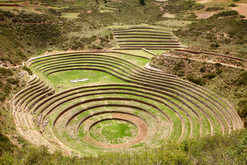 Rundterrassen Moray, Peru, Ackerbau, Landwirtschaft