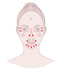 Chinese massage with Gua Sha stones. Lines of massage on the face,  illustration