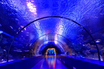 Naklejka premium Tunnel in the Antalya aquarium, Turkey
