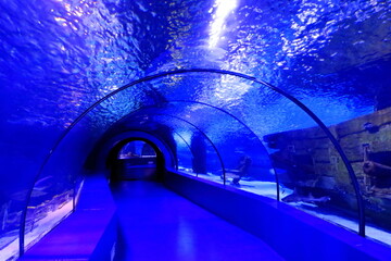 Tunnel in the Antalya aquarium, Turkey