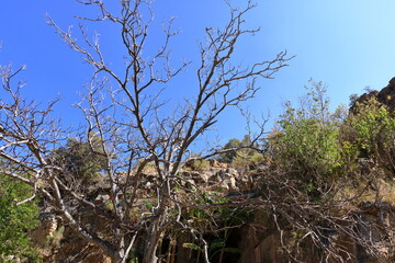 View of ruins of an abandoned village at the Wadi Bani Habib at the Jebel Akhdar mountain in Oman