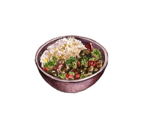 watercolor drawing bowl with rice,beef and vegetables, plate of asian food isolated at white background, hand drawn illustration