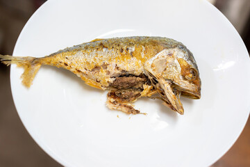Mackerel should not be caught during the spawning season. Mae Klong Platu (mackerel) has a twisted face and slumped neck.