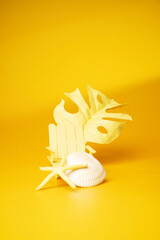 Shell on a yellow background. - Summer concept.
