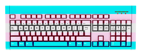 Transgender flag painted on computer keyboard. 3D rendering