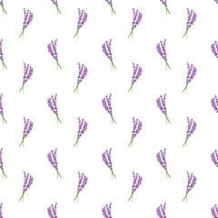 Seamless pattern lavender flowers pattern on white background.Floral vector pattern