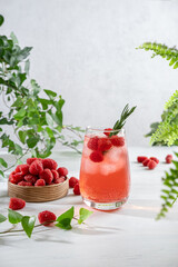 Summer refreshing non-alcoholic cocktails. Raspberry lemonade garnished with fresh rosemary. Summer raspberry beverage with sparkling water. Copy space.