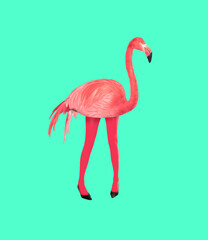 Contemporary art collage. Creative colorful design with pink flamingo in female legs isolated on...