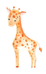 Watercolor giraffe isolated on a white background.
