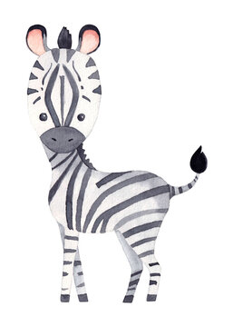 Watercolor cute baby zebra. For children's cards, illustration for children.