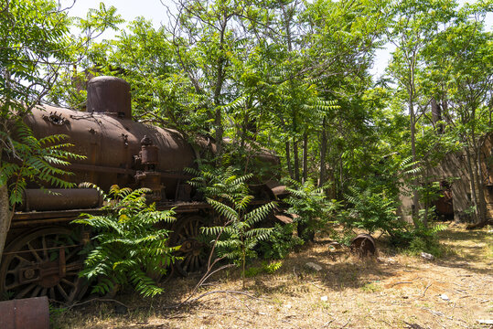 Old locomotive from Beirut&ndash;Damascus line covered by plants, Beqaa Governorate, Rayak, Lebanon