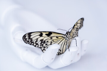 A delicate beautiful butterfly sits in the robot's hand. The concept of the fragility of life