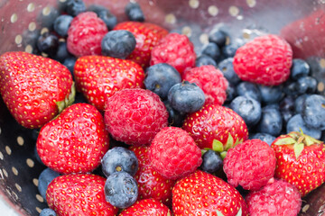 multicolored berries closeup selective focus