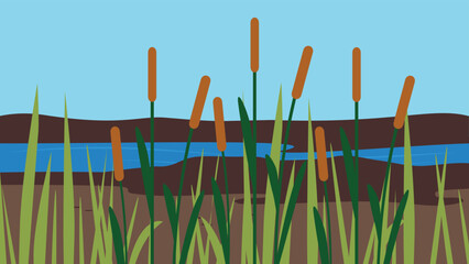 Reeds on the river bank, illustration