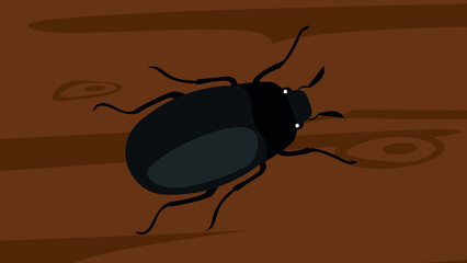big black beetle on the wooden floor