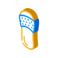 beach footwear isometric icon vector. beach footwear sign. isolated symbol illustration