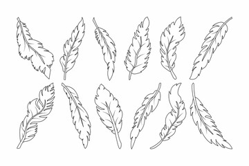 Set of various hand drawn feathers, abstract feather shape for design. Doodle feather symbol. Isolated on white background.