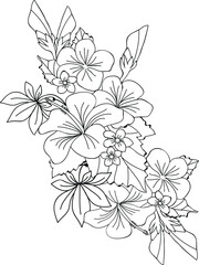 hibiscus flower  zentangle coloring pages
