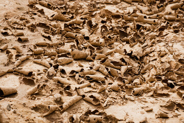 Close up of crack soil and desert in dry season textures, hot summer. Texture of sunny dried earth