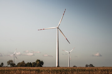 Wind farm in agricultural landscape, wind turbine producing electricity, electricity, wind energy is renewable energy, clean energy, renewable energy source, wind energy