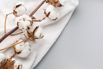 Fototapeta premium White terry towel and a branch of cotton on a gray background