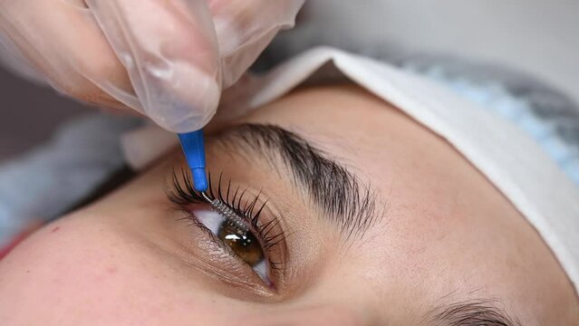 Master combing woman's eyelashes after lamination. 