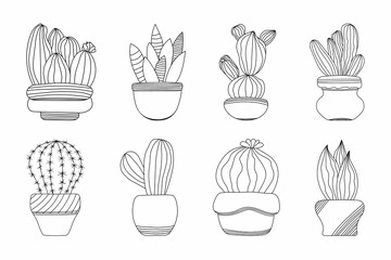 Cactus collection. Set of various indoor cacti in pots. Isolated on a white background