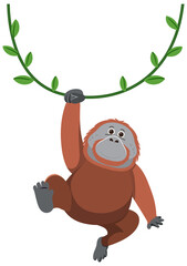 Orangutan hanging on liana © blueringmedia