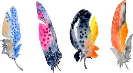 Bird feather element set. Hand drawn watercolor illustration.