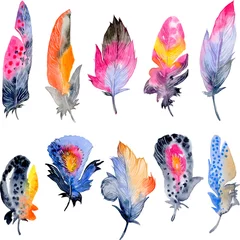 Poster Vlinders Vogel veer elementen set. Hand getekende aquarel illustratie.