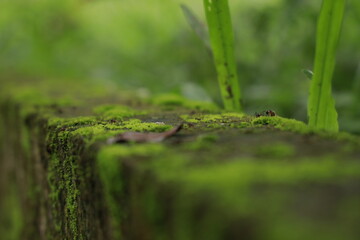 If you truly love nature, you will find beauty everywhere