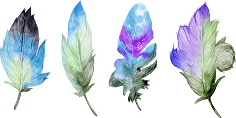 Bird feather element set. Hand drawn watercolor illustration.