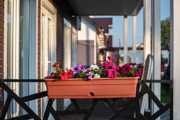 Fototapeta na wymiar a tray with natural flowers hanging on the veranda of the house