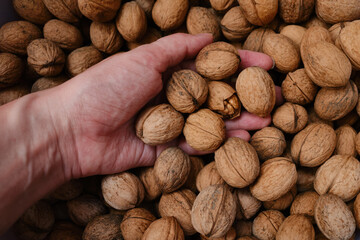 Walnuts with shells in hand. Filled background. Walnuts texture. Abstract nuts heap pattern background
