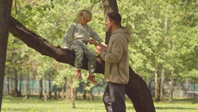 Slowmo of father with little son spending time outdoors in park on sunny day. Boy sitting on tree branch while his dad tickling him