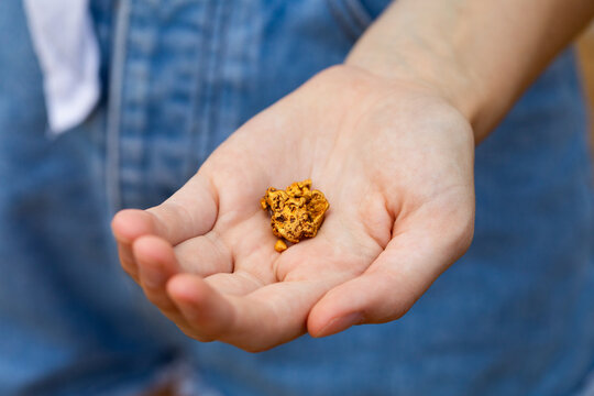 several small gold nuggets held in the hands of a girl