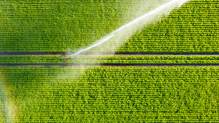 Aerial view by a drone of a farm field being irrigated by a gigantic and powerful irrigation...