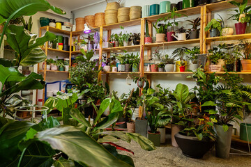An Image of a Flower Shop with exotic potted plants.