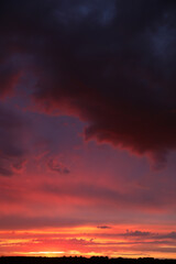 Beautiful summer sunset in the sky