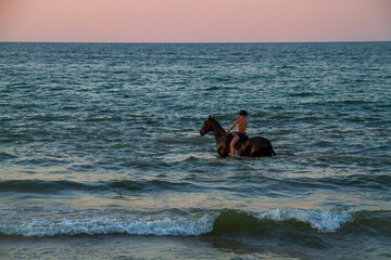 Boy rider on a horse in the sea