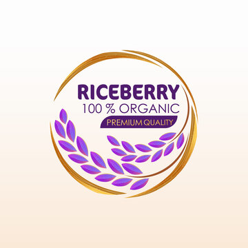 organic paddy rice, ear of paddy, ears of Thai riceberry rice isolated vector illustration