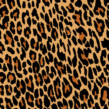 Leopard, cheetah and jaguar print seamless pattern.  Animal skin print seamless pattern design.