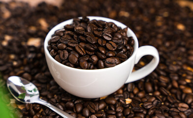 Close-up natural coffee beans in a white cup. Coffee day. Selective focus.