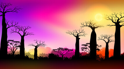 Baobab trees in Africa savanna landscape at Sunset with Colorful gradient sky