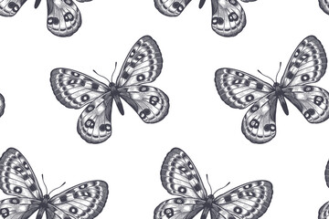 Black and white butterflies. Seamless pattern.