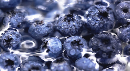 Organic Blueberry in the water. Water drops on ripe sweet blueberry. Fresh blueberries background with copy space for your text. Vegan and vegetarian concept. Macro texture of blueberry berries. 